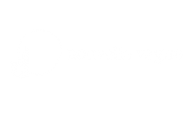 Nouvelle Vague